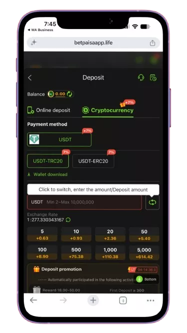 Betpaisa Deposit Method